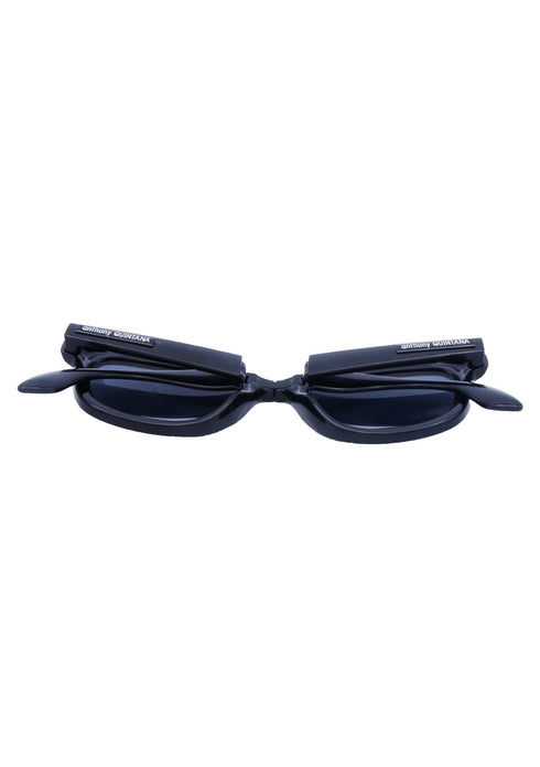 AQ WayFarer Sunglasses